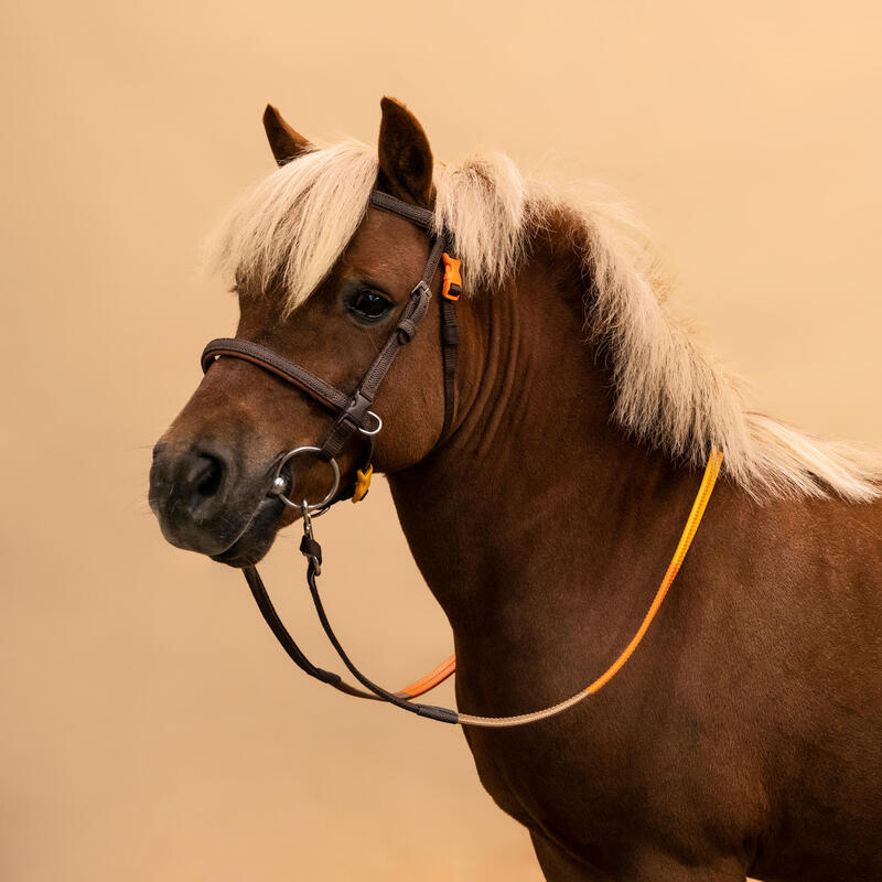 Filet et rênes équitation synthétique initiation Poney - 100 marron