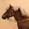 Hoofdstel en teugels voor pony's 100 Initiation kunststof bruin