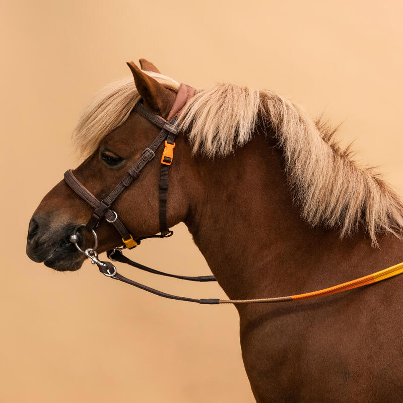 Hoofdstel en teugels voor pony's 100 INITIATION synthetisch materiaal met Franse neusriem bruin