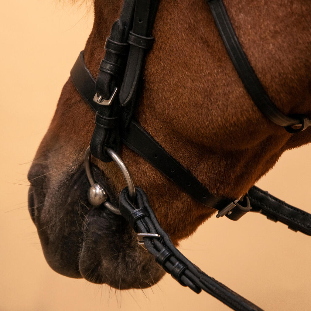 Horse Riding Leather Bridle With French Noseband & Reins for Horse & Pony 100