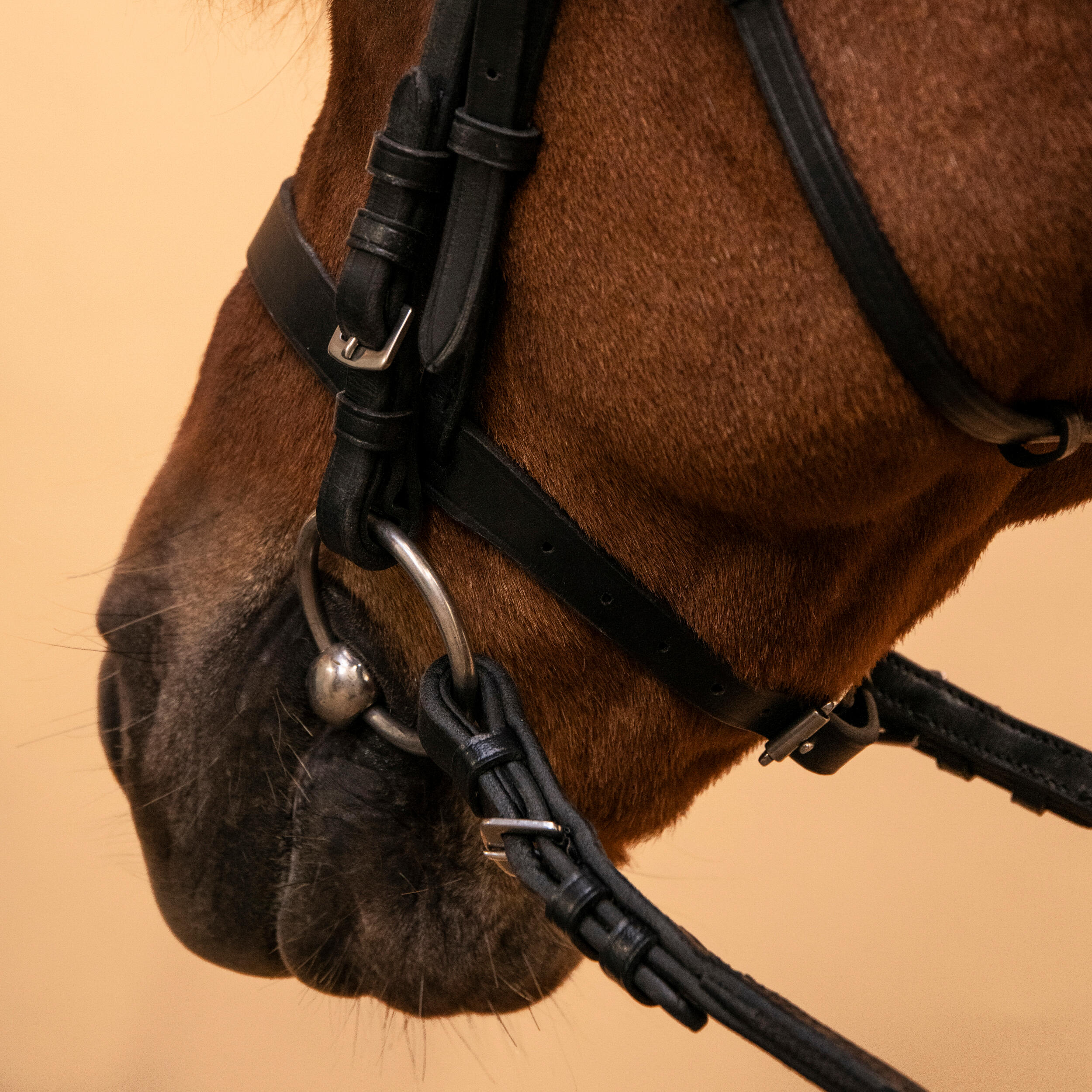 Horse & Pony Riding Leather Bridle with French Noseband & Reins - 100 Black - FOUGANZA