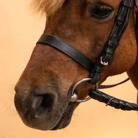 Black Leather Bridle with White Hoop design on Brow & Nose Band 