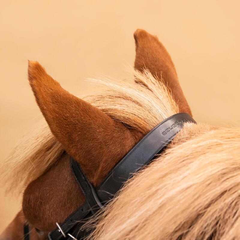 Filet et rênes équitation cuir muserolle française Cheval et Poney - 100 noir