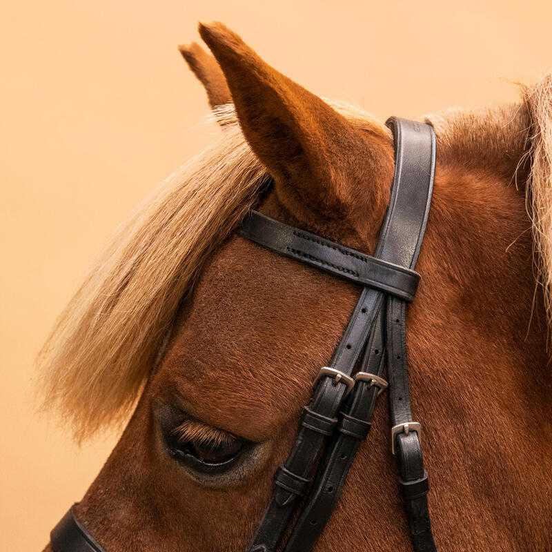 Cabeçada e Rédeas em Couro de Equitação Focinheira Francesa para Cavalo e Pónei 100 Preto