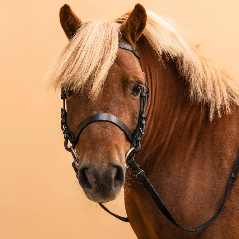 Horse Riding Leather Bridle With French Noseband & Reins for Horse & Pony 100