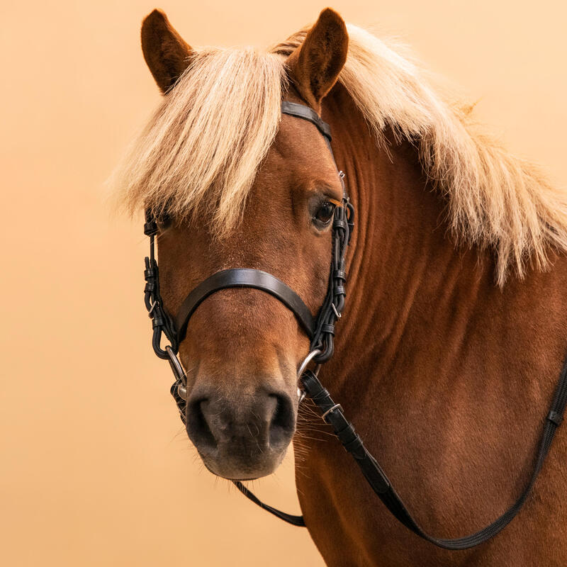 Cabeçada e Rédeas em Couro de Equitação Focinheira Francesa para Cavalo e Pónei 100 Preto