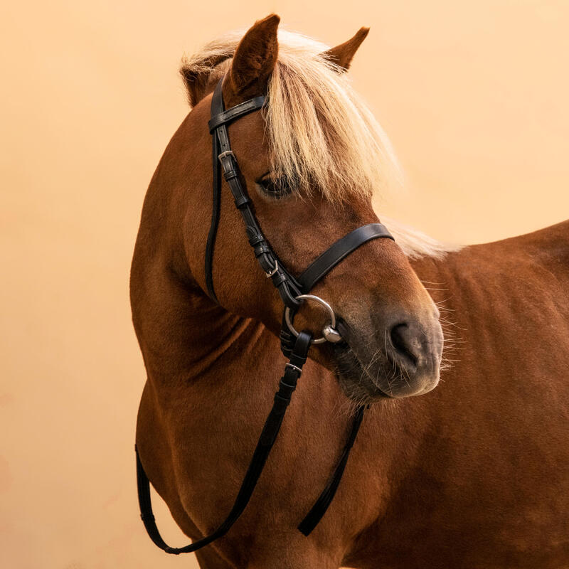 Cabeçada e Rédeas em Couro de Equitação Focinheira Francesa para Cavalo e Pónei 100 Preto