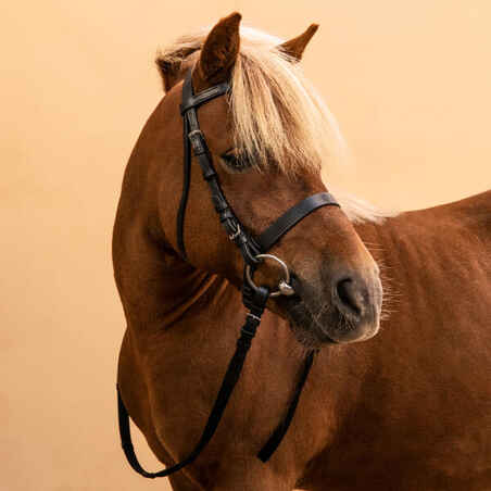 Trense + Zügel Schooling Leder Pony/Pferd schwarz