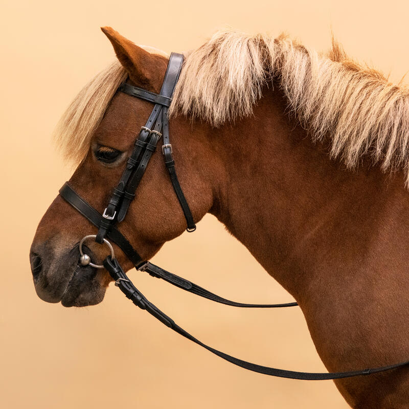 Testiera e redini equitazione pony e cavallo 100 capezza francese nere 