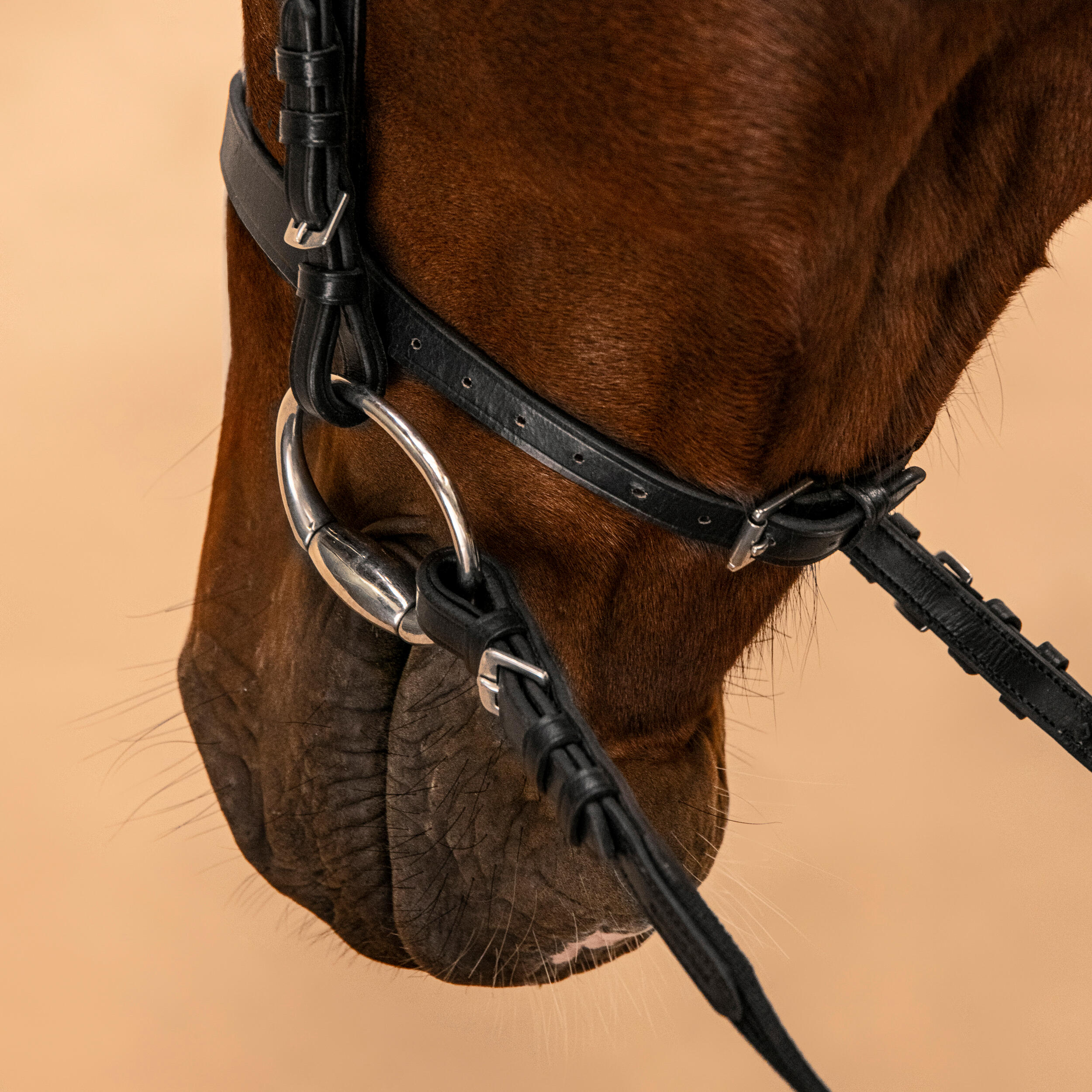 Horse & Pony Riding Leather Bridle with French Noseband & Reins - 100 Black - FOUGANZA