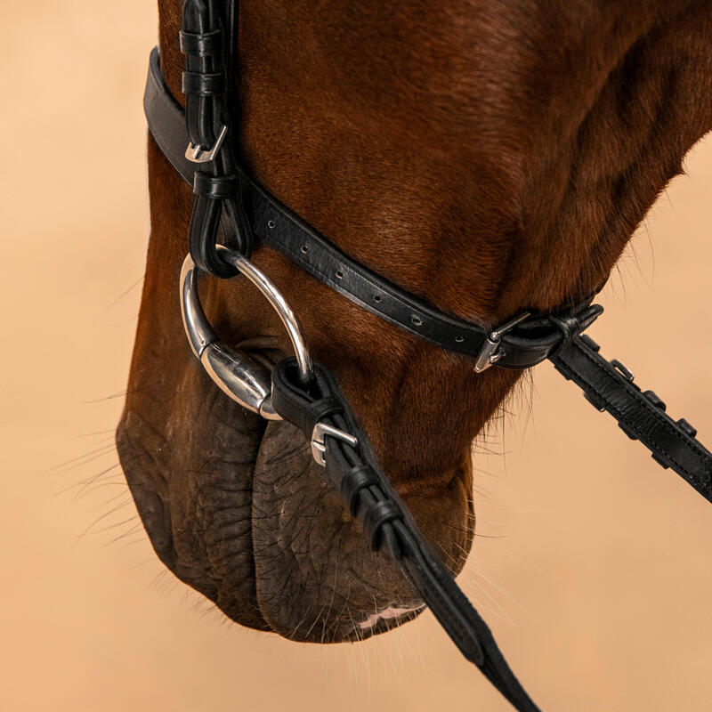 Hoofdstel en teugels voor paarden en pony's 100 Franse neusriem leer zwart