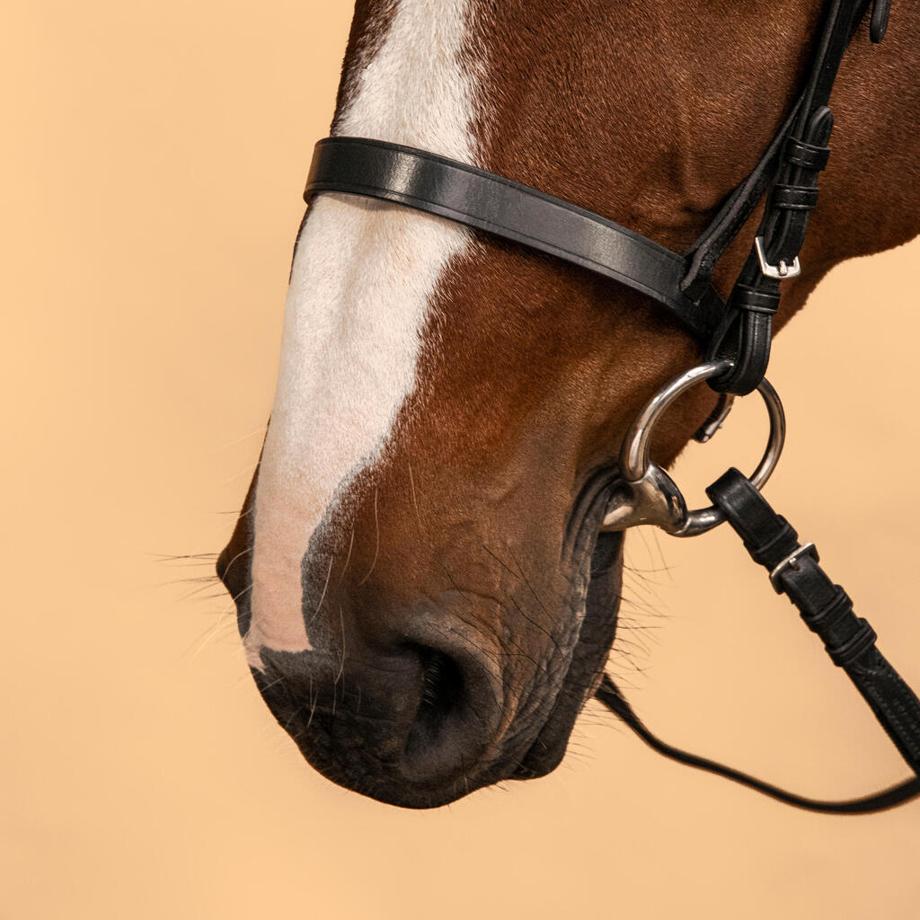 Filet et rênes équitation cuir muserolle française Cheval et Poney - 100 noir