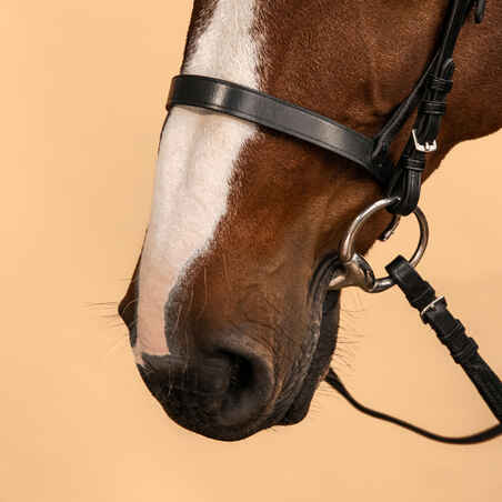 Cabezada y Riendas Equitación fouganza schooling Caballo y Poni Negro cuero