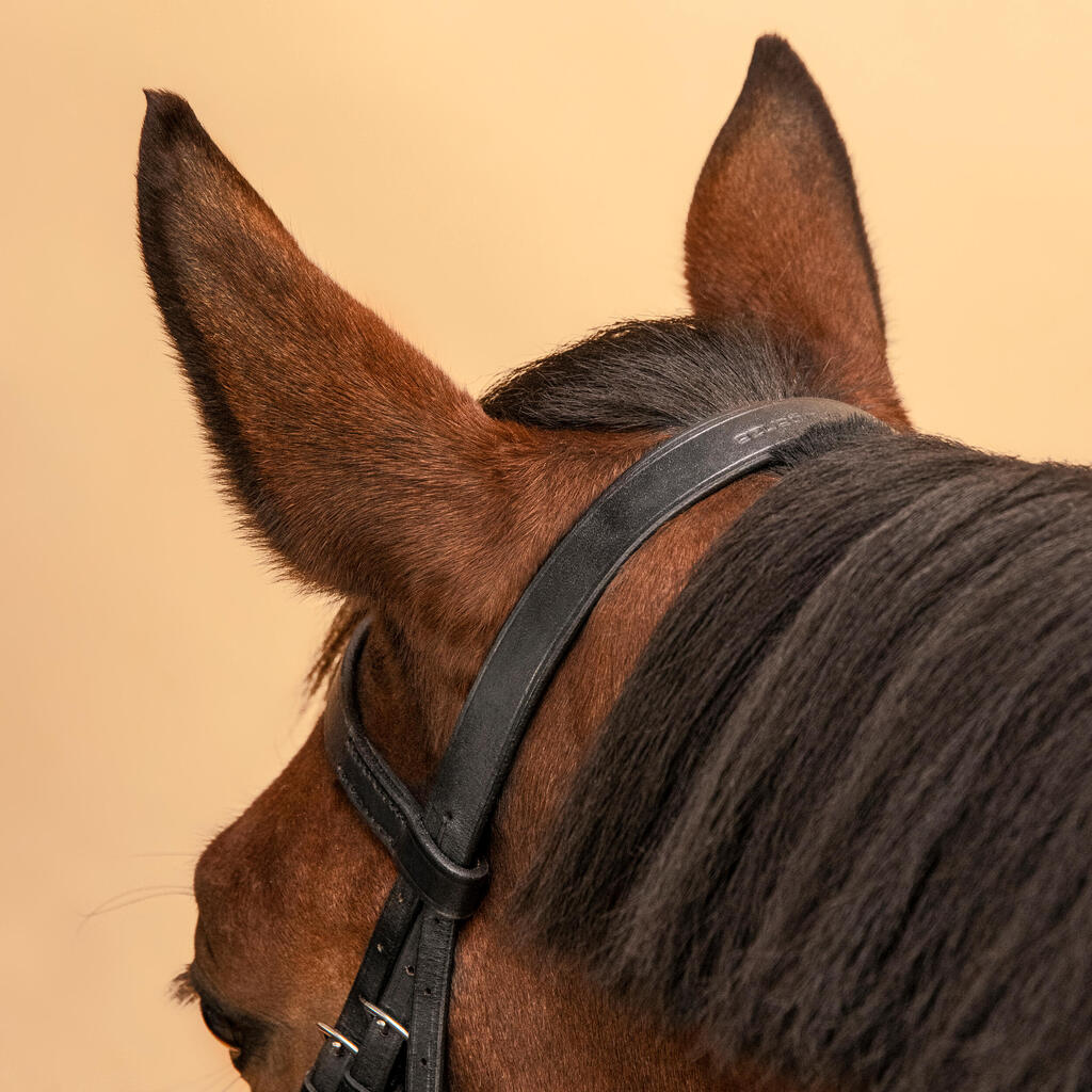 Filet et rênes équitation cuir muserolle française Cheval et Poney - 100 noir