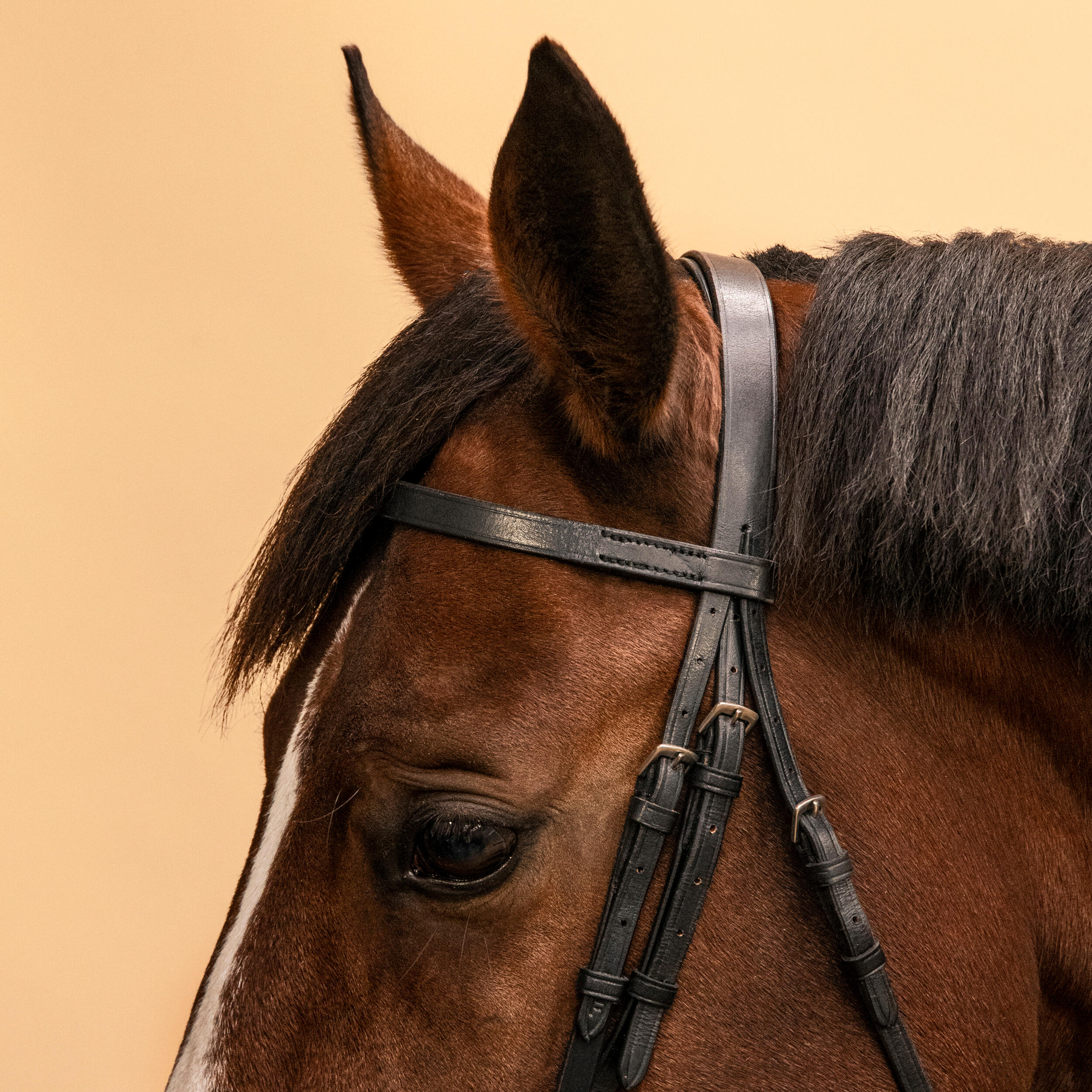 Horse & Pony Riding Leather Bridle with French Noseband & Reins - 100 Black - FOUGANZA