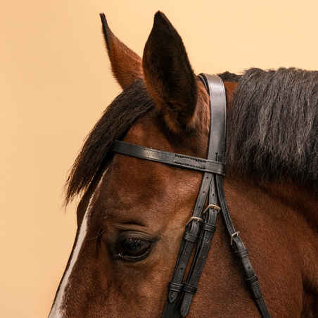 Horse Riding Leather Bridle With French Noseband & Reins for Horse & Pony 100 - Black