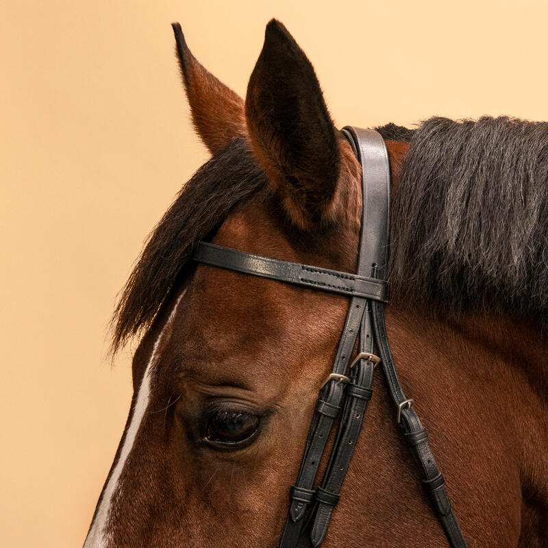 Hoofdstel en teugels voor paarden en pony's 100 Franse neusriem leer zwart