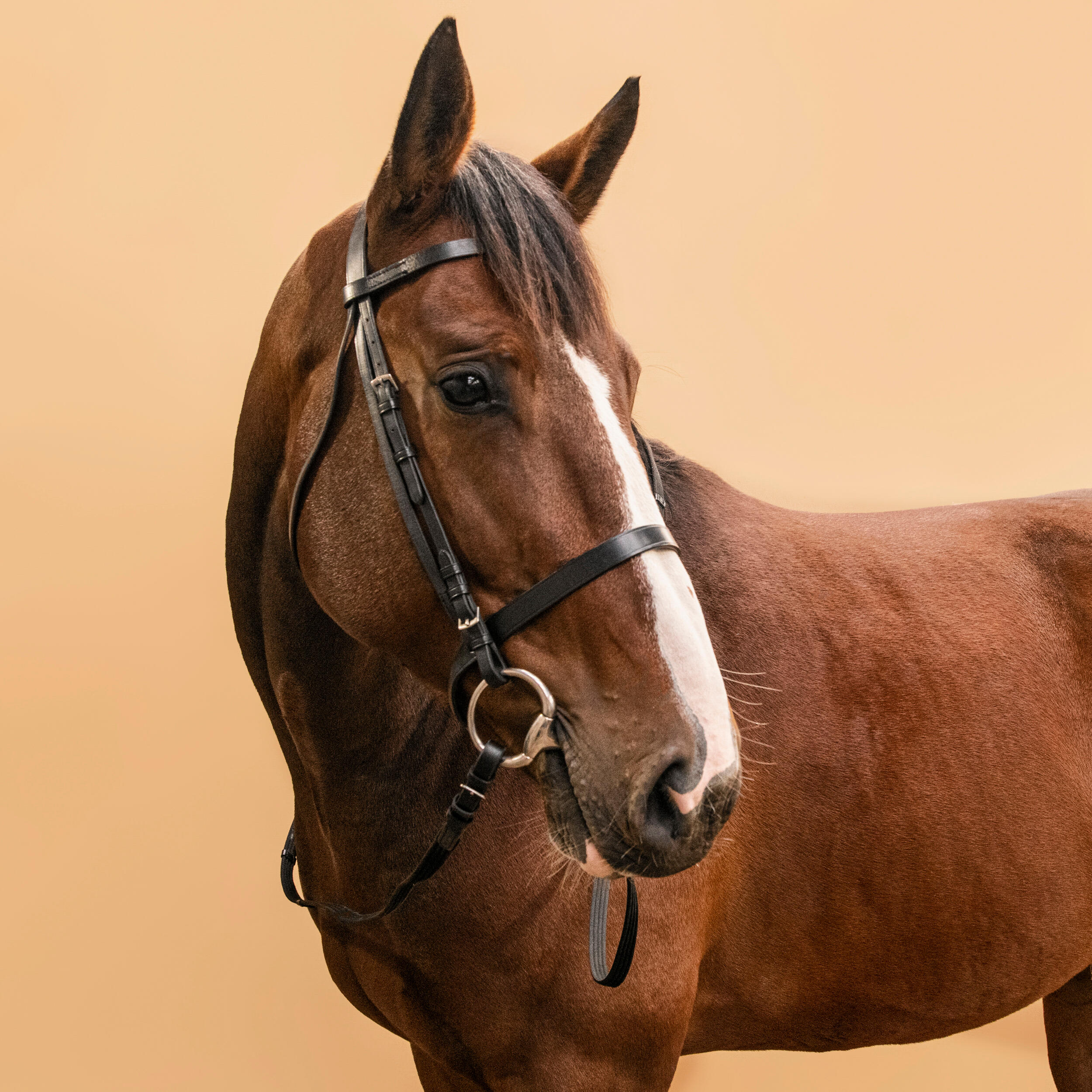 Bride et rênes d'équitation en cuir muserolle française pour cheval et poney - 100 noir - FOUGANZA