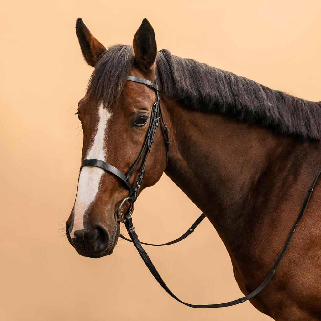 Filet et rênes équitation cuir muserolle française Cheval et Poney - 100 noir