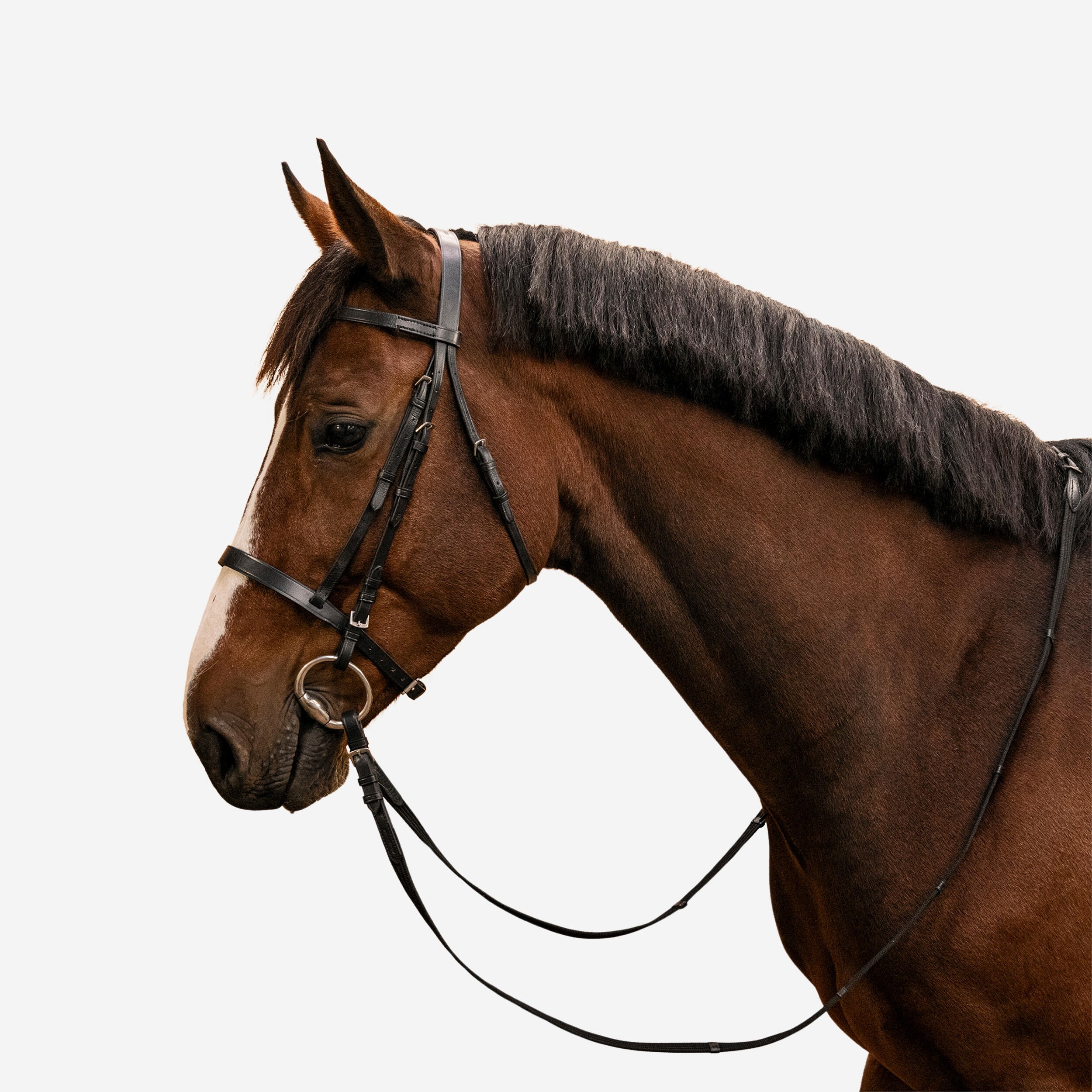 Bride et rênes d'équitation en cuir muserolle française pour cheval et poney - 100 noir - FOUGANZA