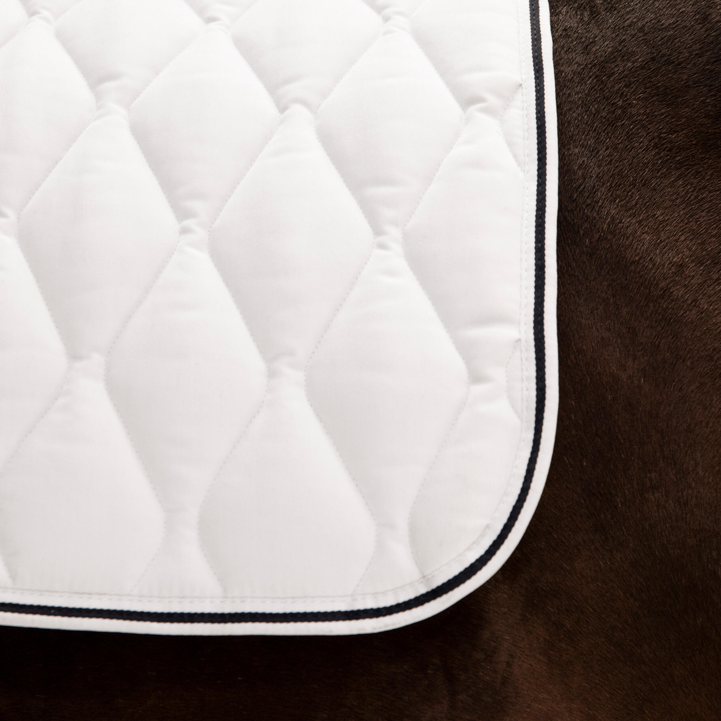 Show Saddle Cloth For Horse/Pony 500 - White 4/8