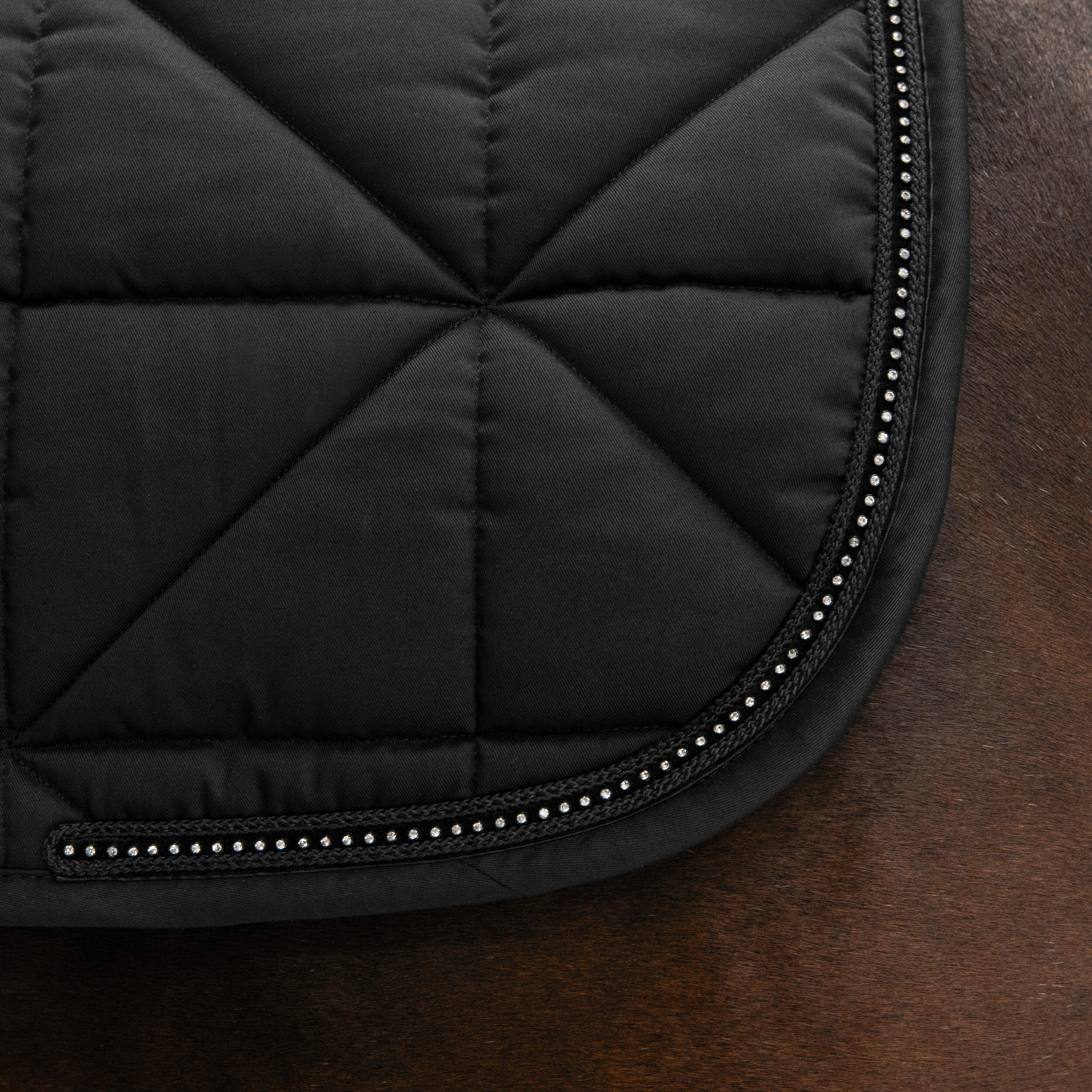 Horse Dressage Saddle Cloth 500 - Black 2/6