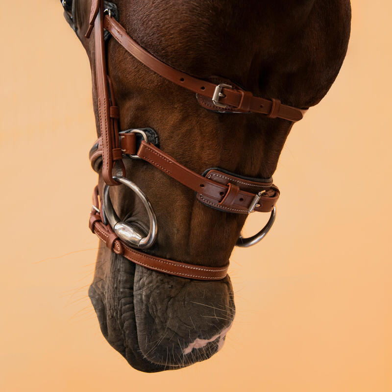Testiera equitazione pony e cavallo 900 capezzina francese marrone