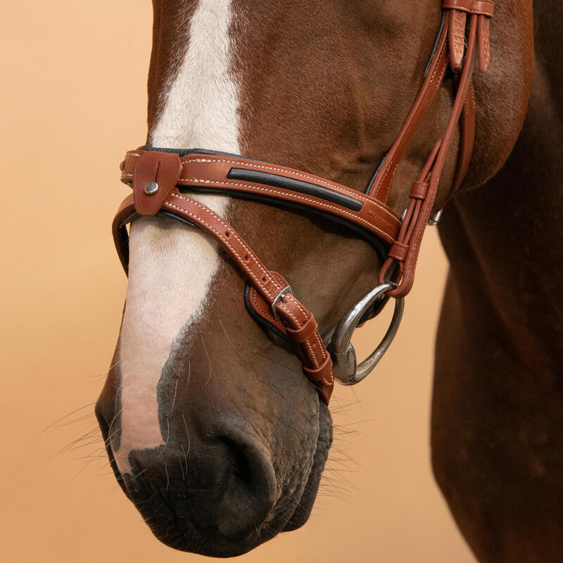 Cabeçada em Couro de Equitação Focinheira Francesa Cavalo e Pónei 900 Castanho
