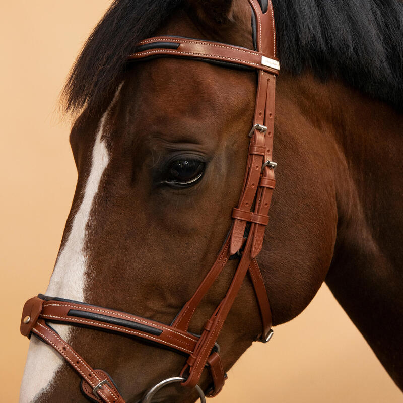 Cabeçada em Couro de Equitação Focinheira Francesa Cavalo e Pónei 900 Castanho