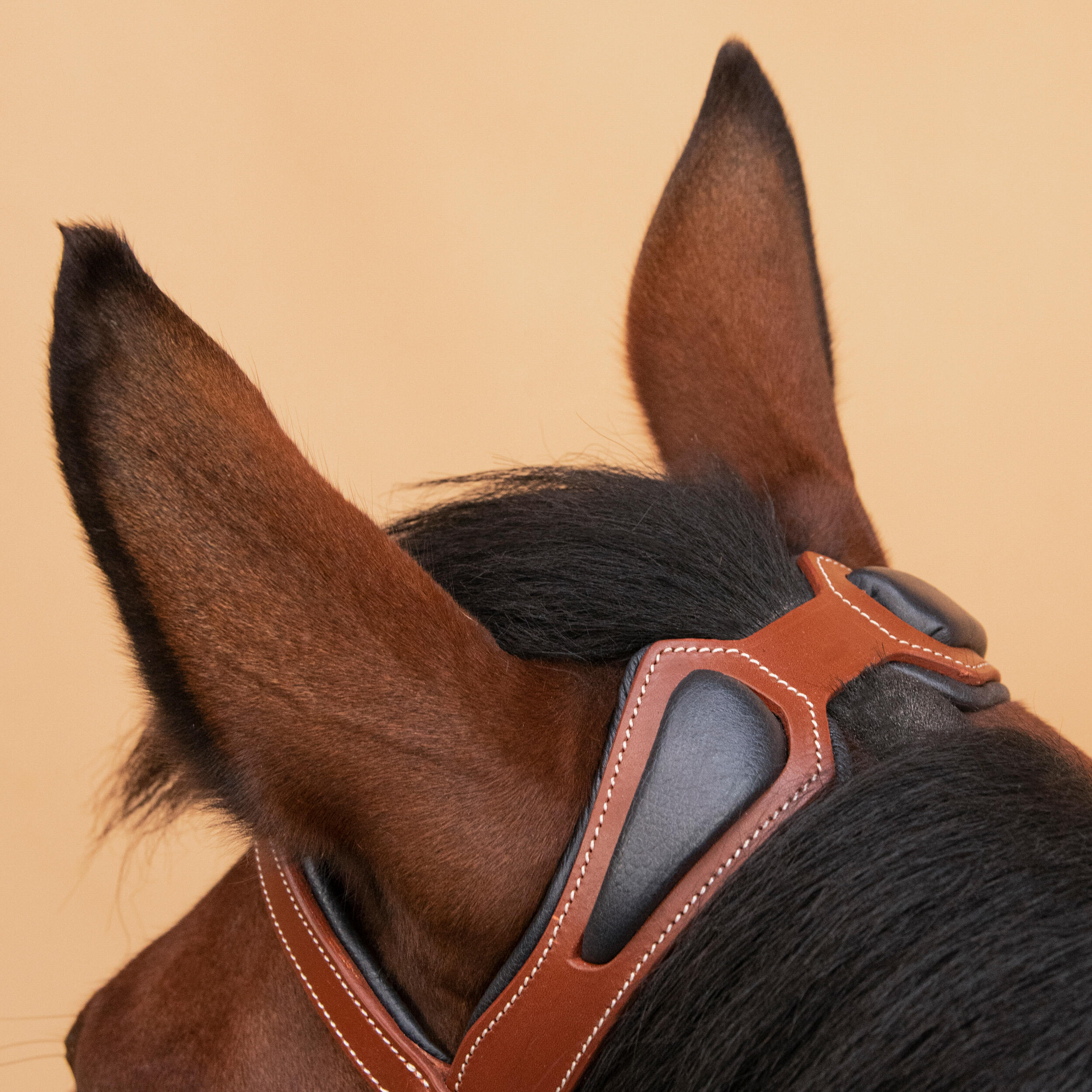 Horse Riding Horse & Pony Leather Bridle With French Noseband 900 - Light Brown 5/9