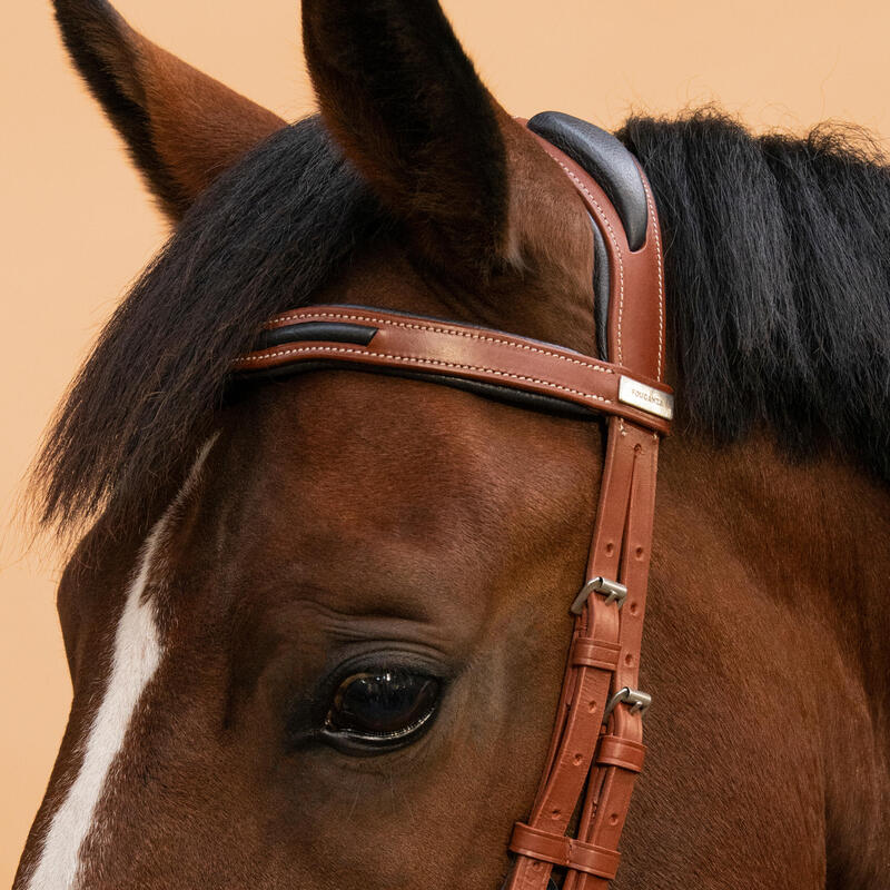 Filet cheval et poney cuir muserolle française marron clair 900