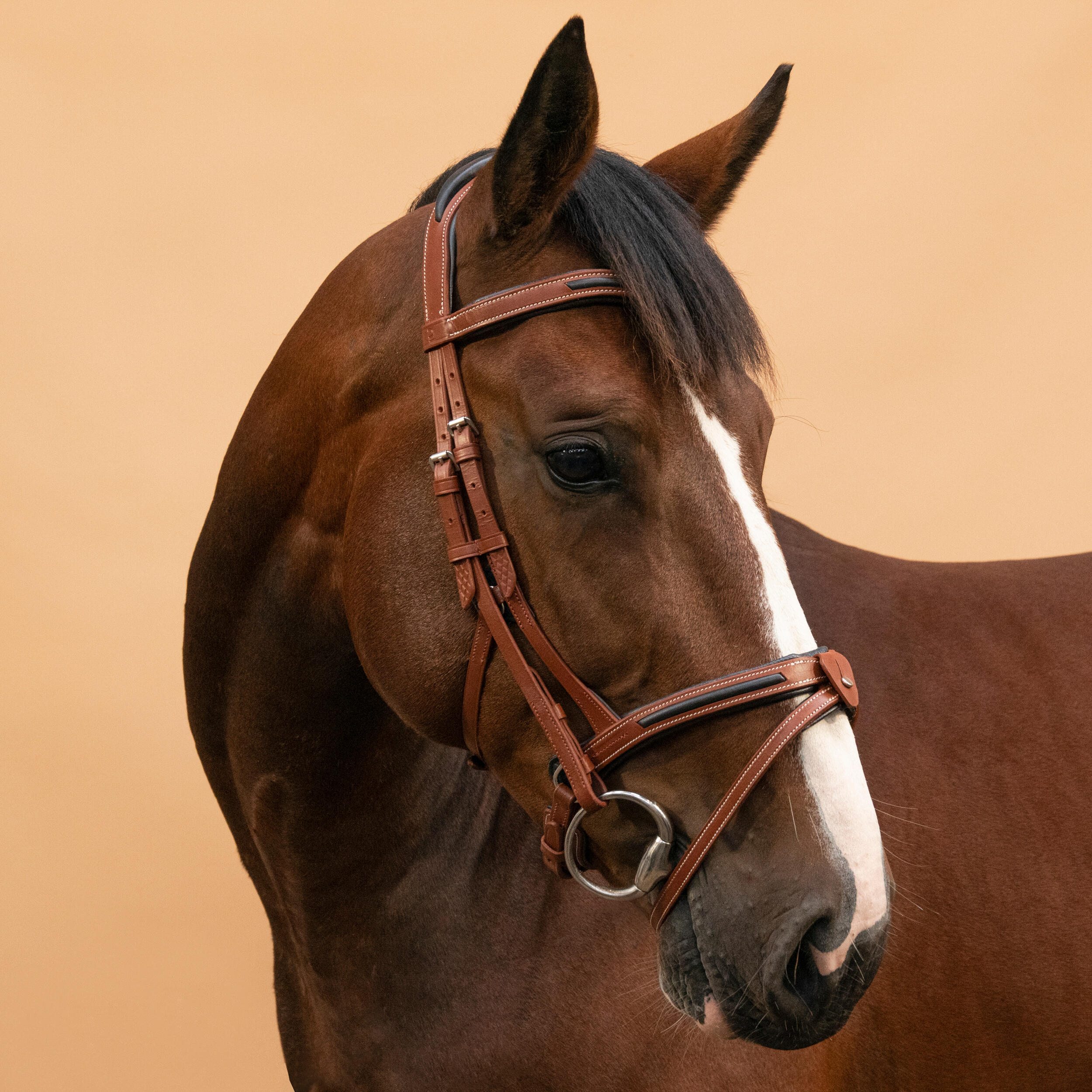 Rete da equitazione in cuoio per cavalli e pony con nasello francese - 900 marrone chiaro