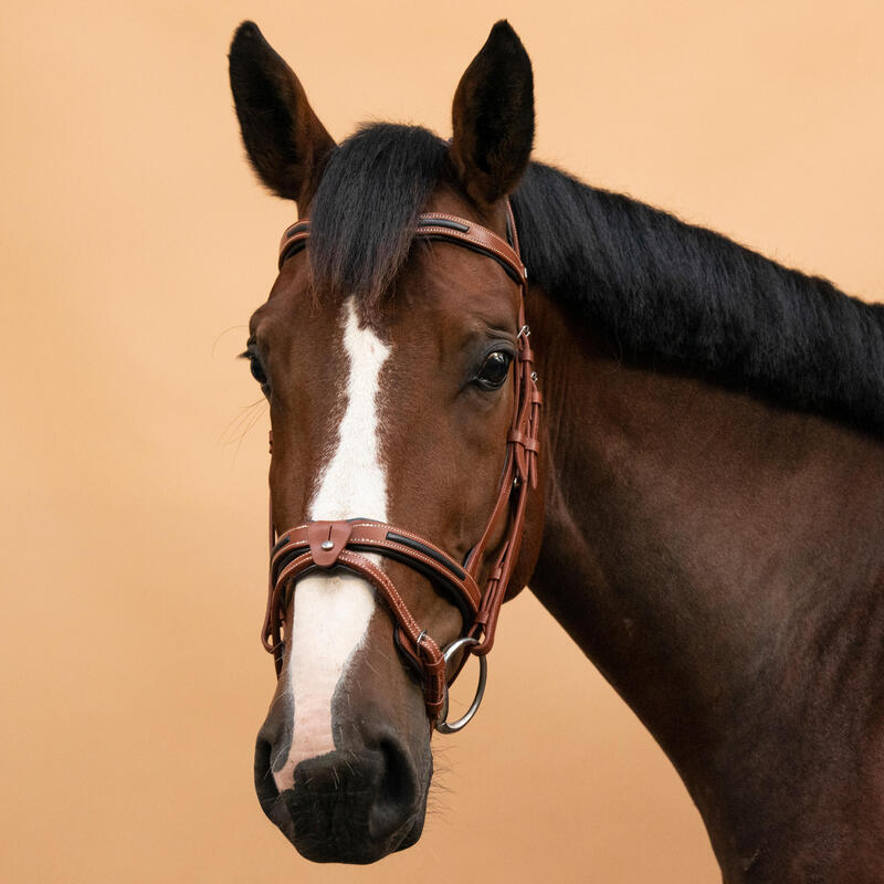 Filet équitation cuir muserolle française Cheval et Poney - 900 marron clair