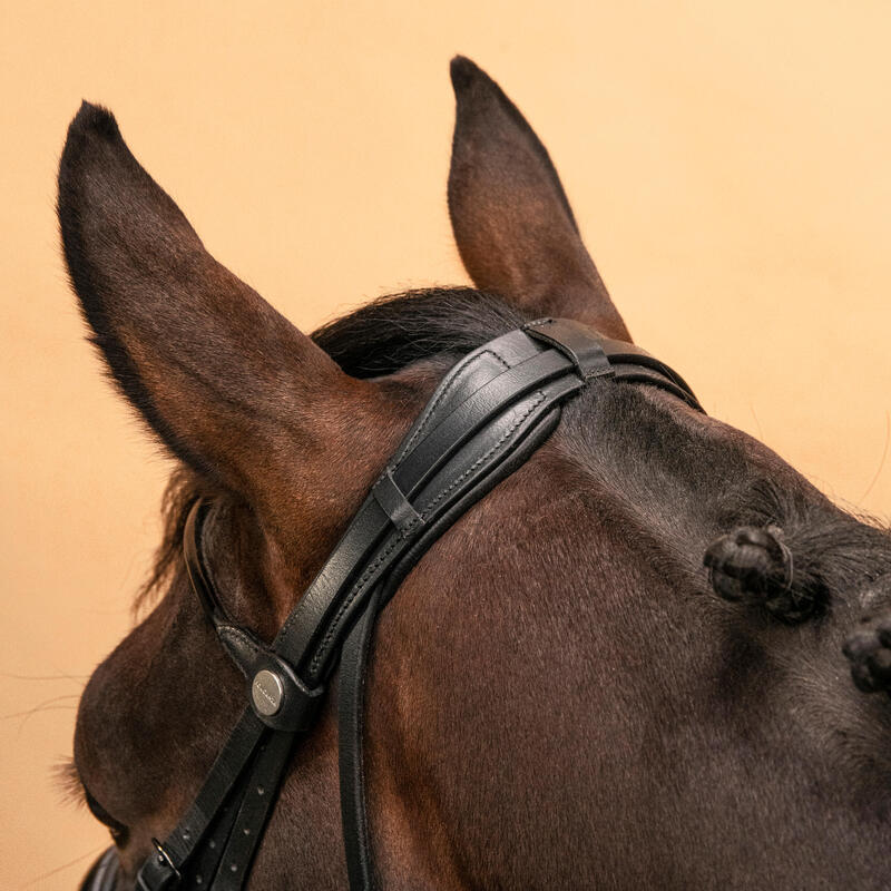 Cabeçada de Dressage Equitação Cavalo e Pónei 900 Preto