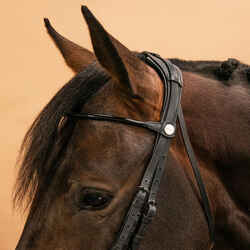 Horse & Pony Dressage Double Bridle 900 - Black