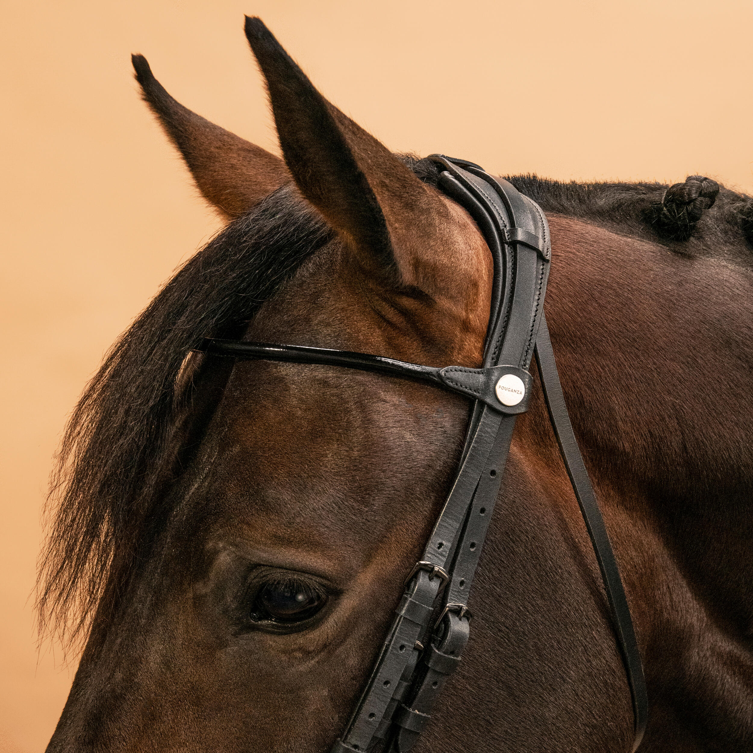 Horse & Pony Dressage Double Bridle 900 - Black 5/9