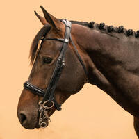 Bride dressage cheval et poney noire 900