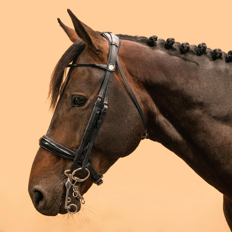 Briglia equitazione pony e cavallo 900 dressage nera