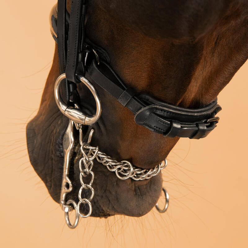 Dressuurhoofdstel voor paard en pony 900 zwart