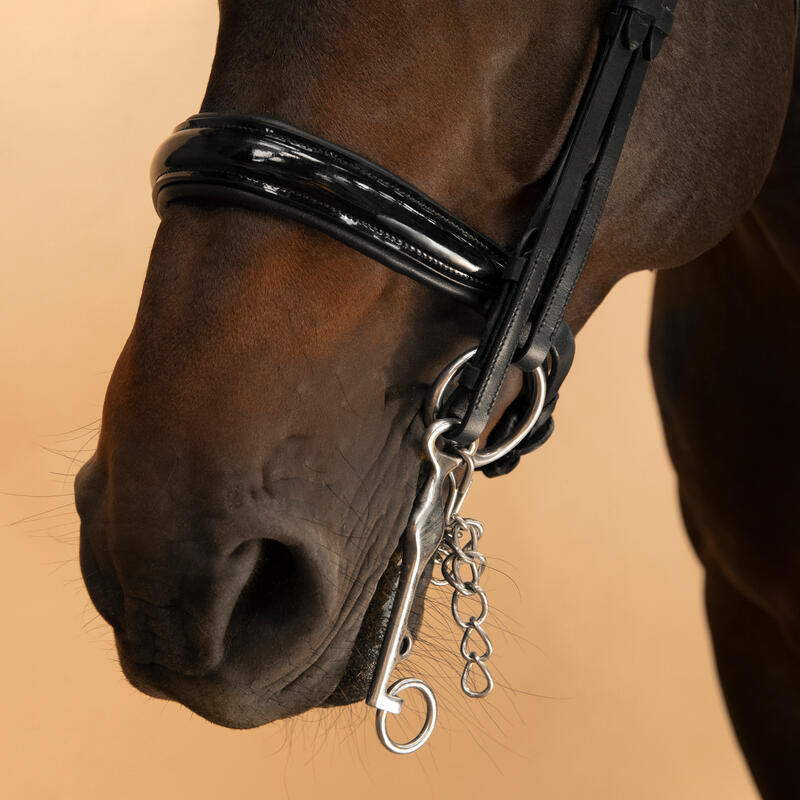 Cabeçada de Dressage Equitação Cavalo e Pónei 900 Preto