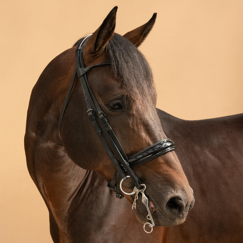 Dressuurhoofdstel voor paard en pony 900 zwart