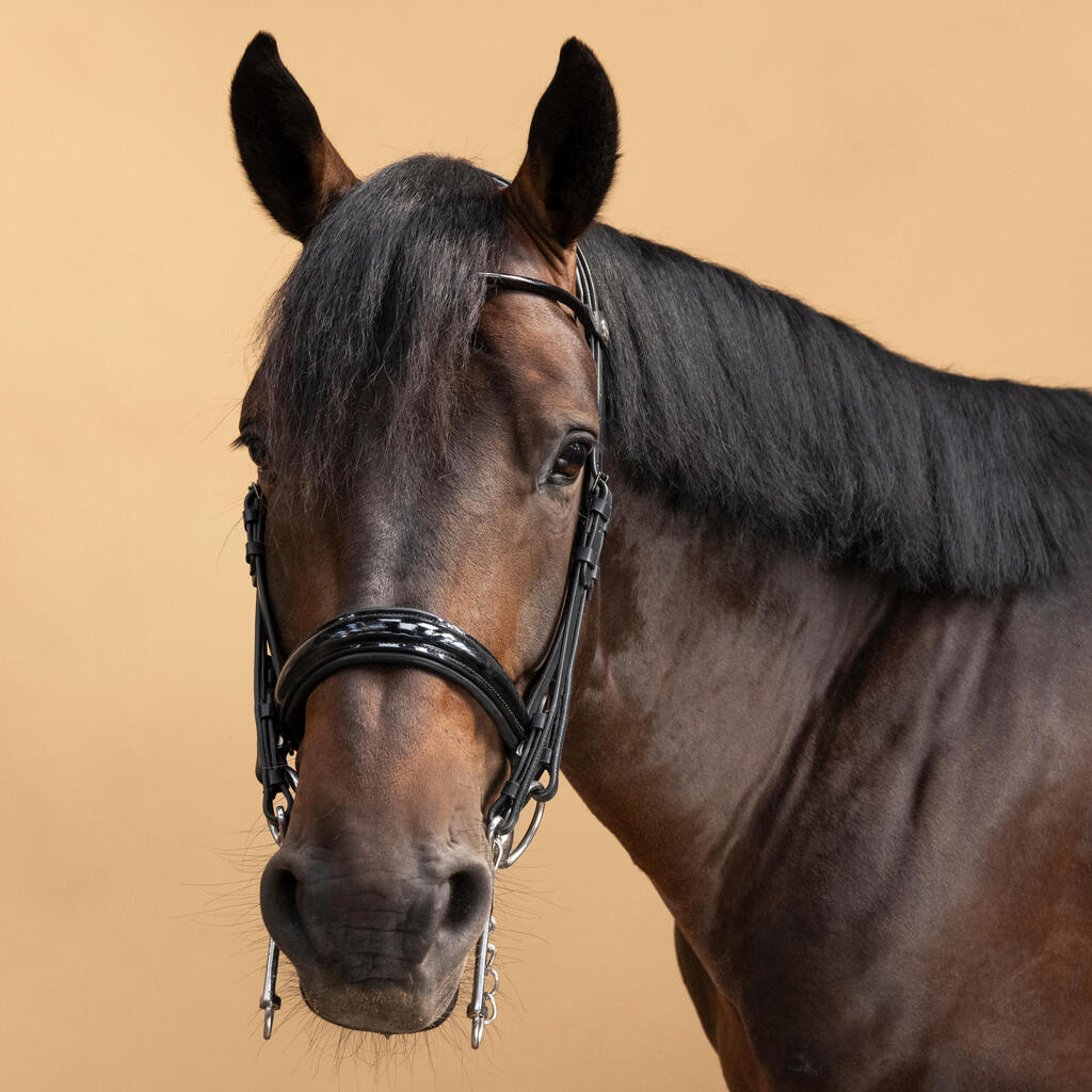 Kandarenzaum Pferd/Pony - 900 schwarz