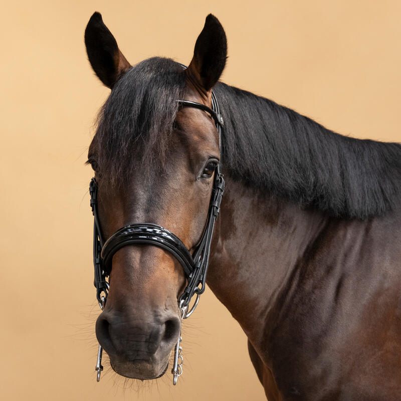 Dressuurhoofdstel voor paard en pony 900 zwart