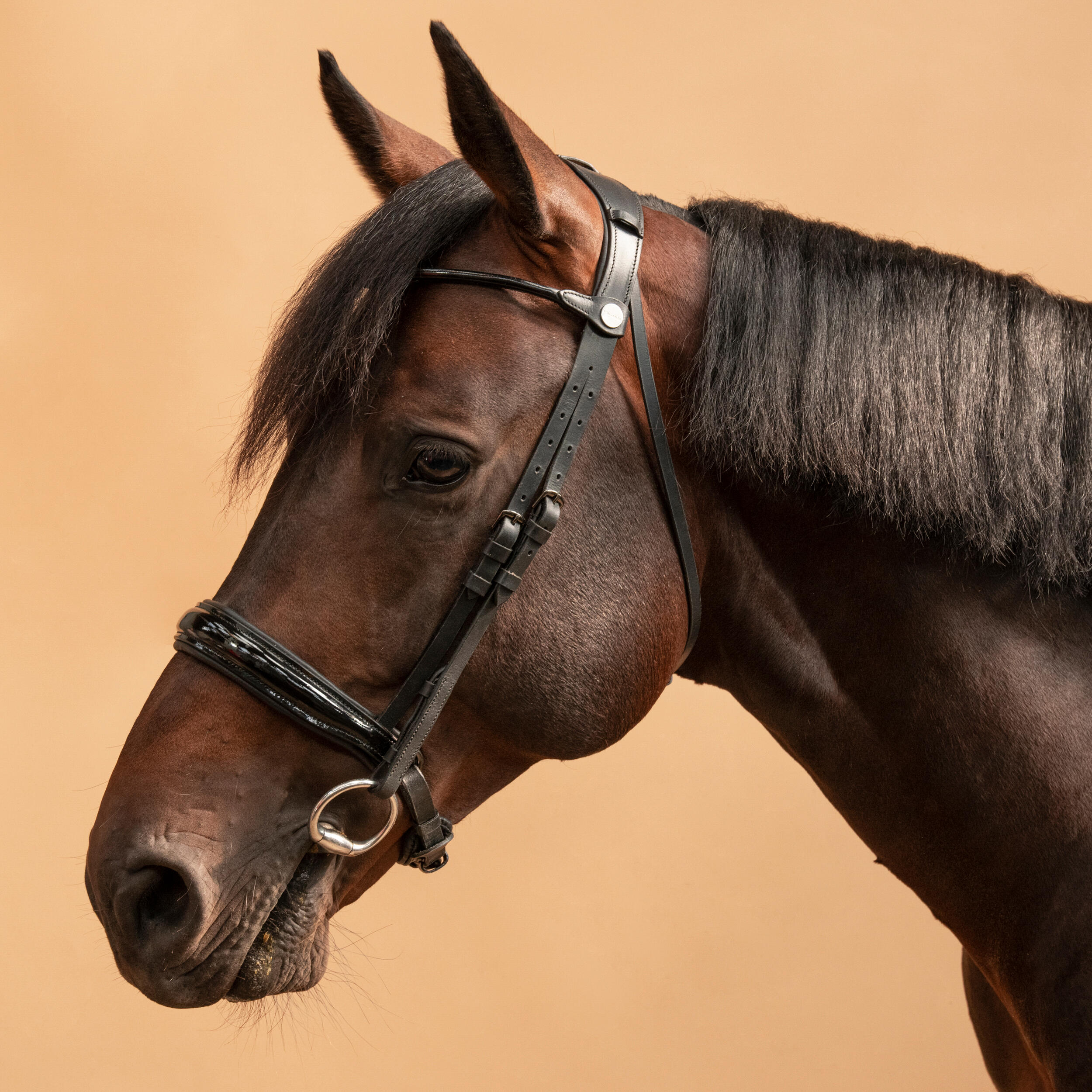 Horse & Pony Dressage Double Bridle 900 - Black 9/9