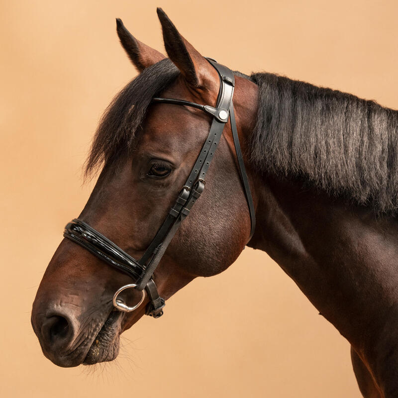 Dressuurhoofdstel voor paard en pony 900 zwart