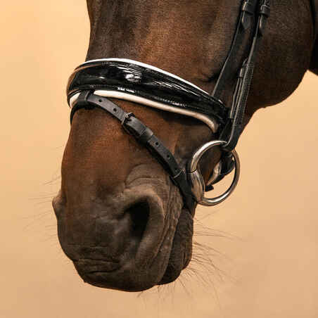 Horse & Pony Dressage Bridle 900 - Black