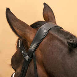 Horse & Pony Dressage Bridle 900 - Black