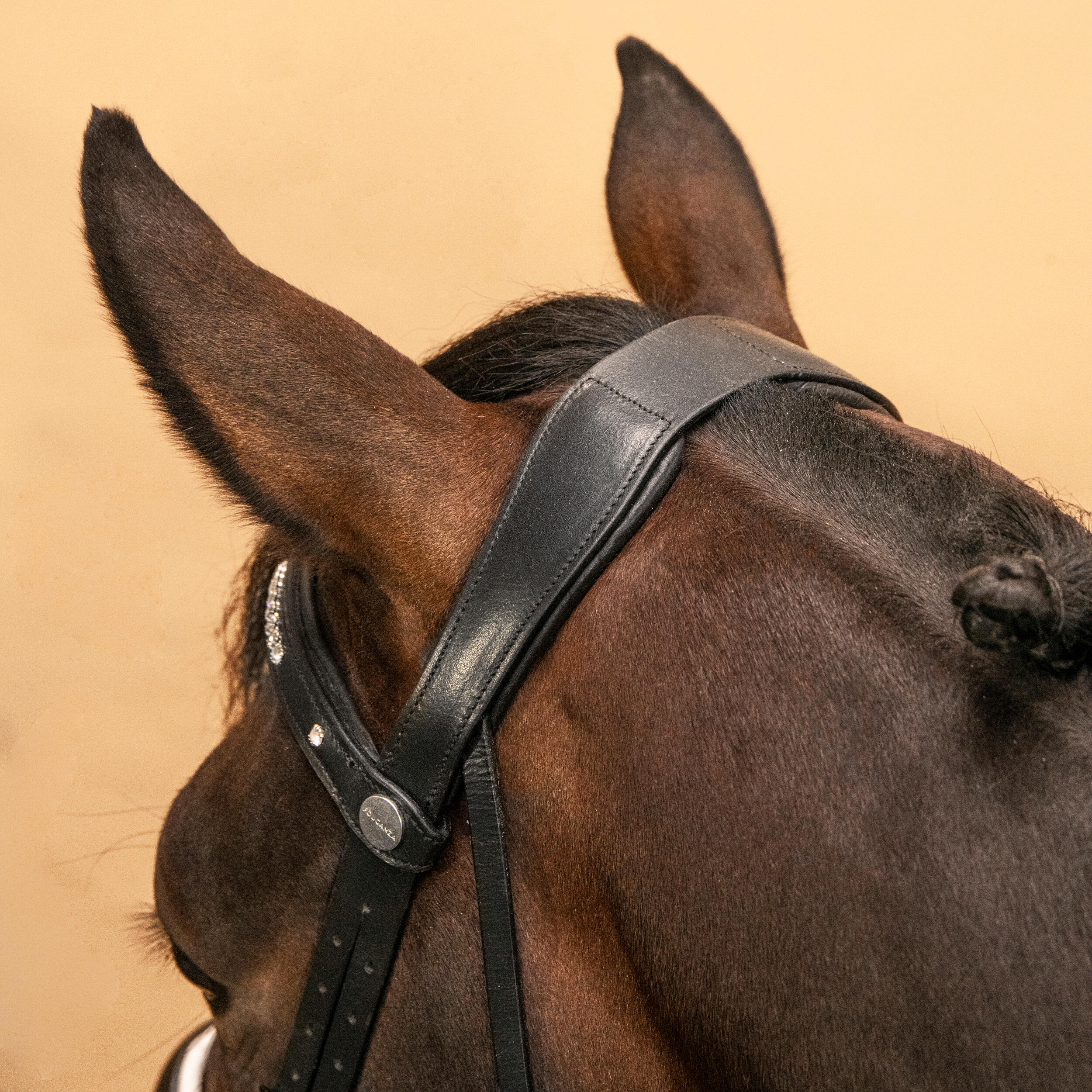 Dressuurhoofdstel voor paard en pony 900 zwart en wit 7/9