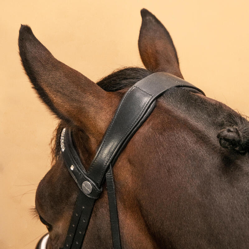 Testiera equitazione dressage pony e cavallo 900 nero-bianco