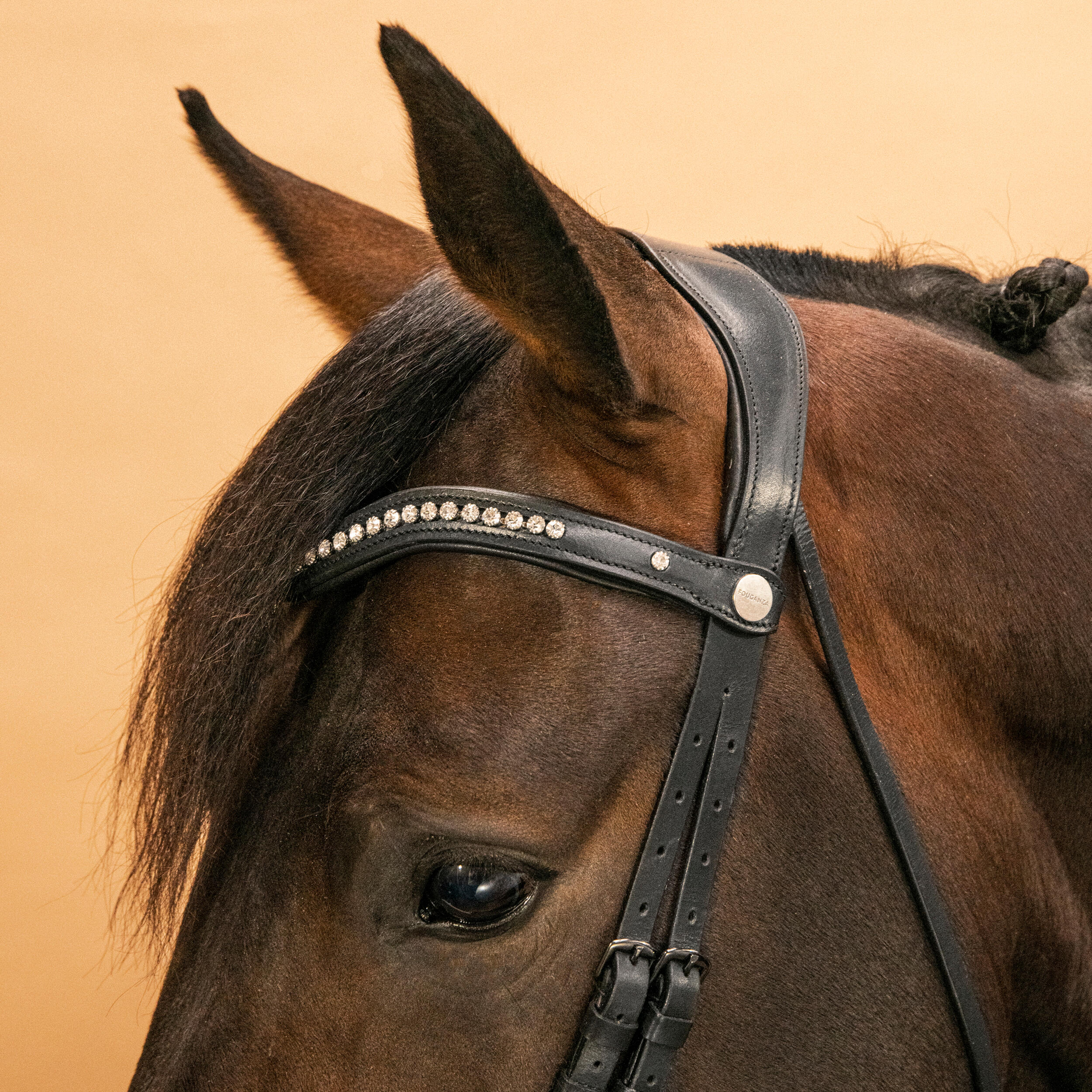 Dressuurhoofdstel voor paard en pony 900 zwart en wit 6/9